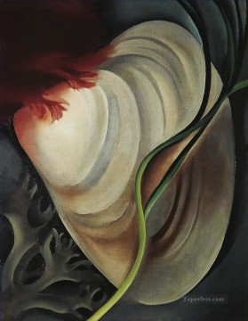 シェル no 2 ジョージア・オキーフ アメリカのモダニズム 精密主義 Oil Paintings